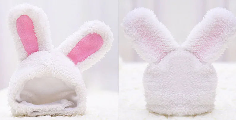 Warm Wabbit Ears Hat