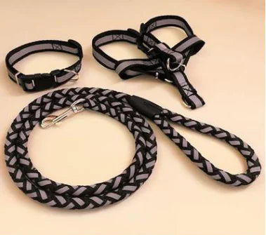 Reflective Leash