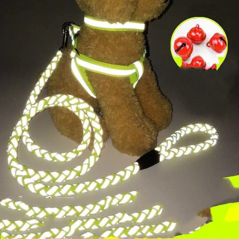 Reflective Leash