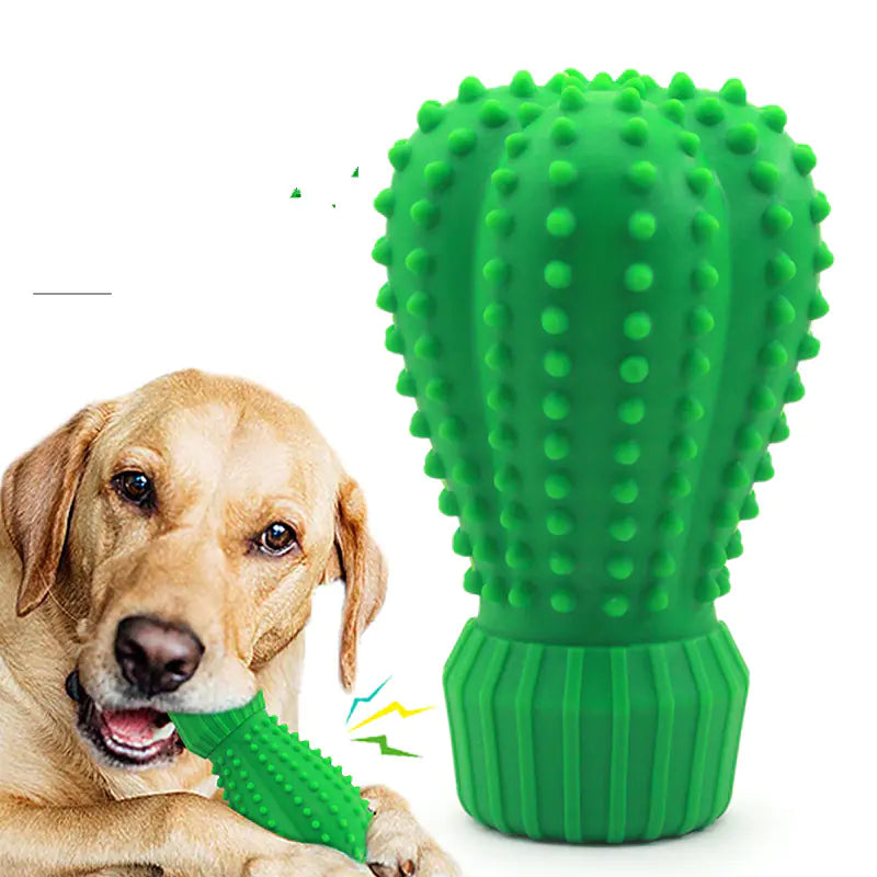 Cactus Chew Toy