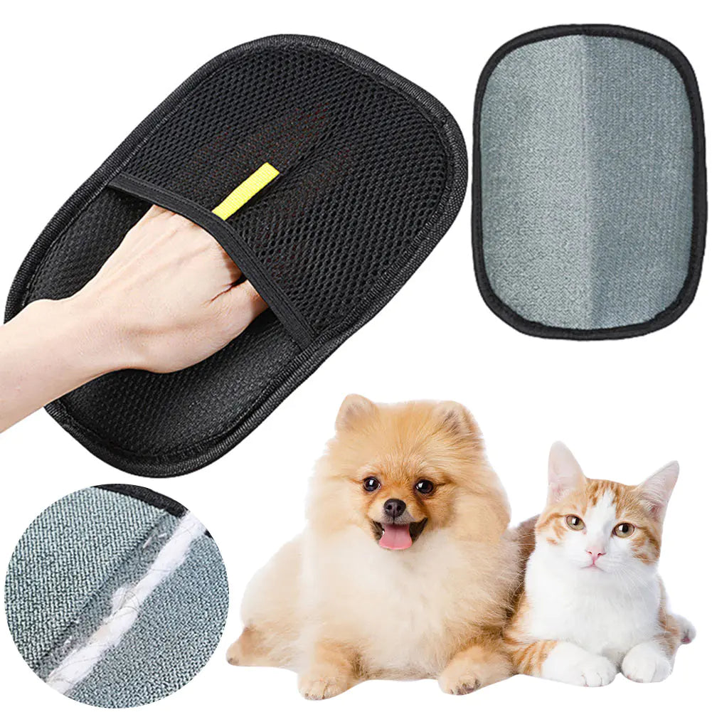 PAWS Grooming Glove